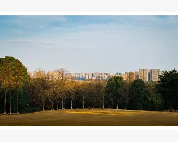 B2B创业选赛道这些项目更容易上手