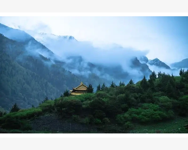 养阴清肺合剂——保护呼吸道健康的中医秘方